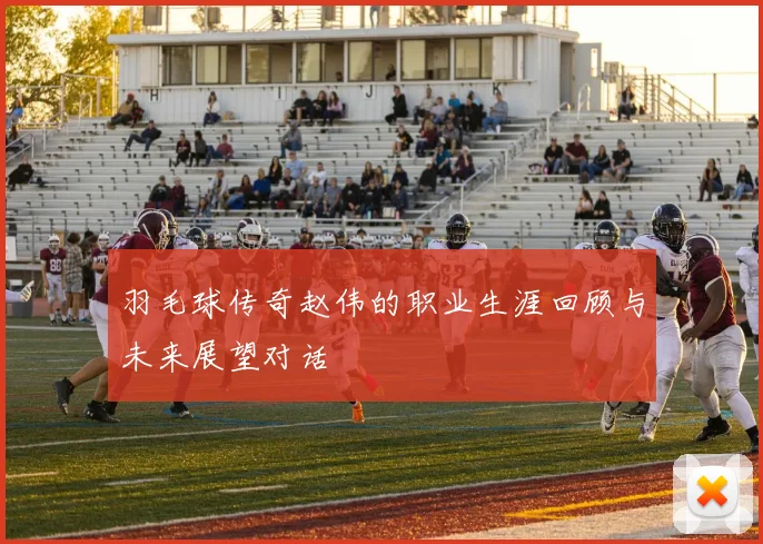 羽毛球传奇赵伟的职业生涯回顾与未来展望对话
